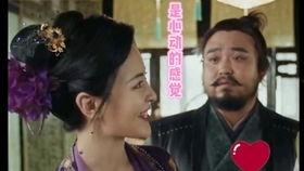 看赘婿29集在线视频,智斗权谋，情动江湖